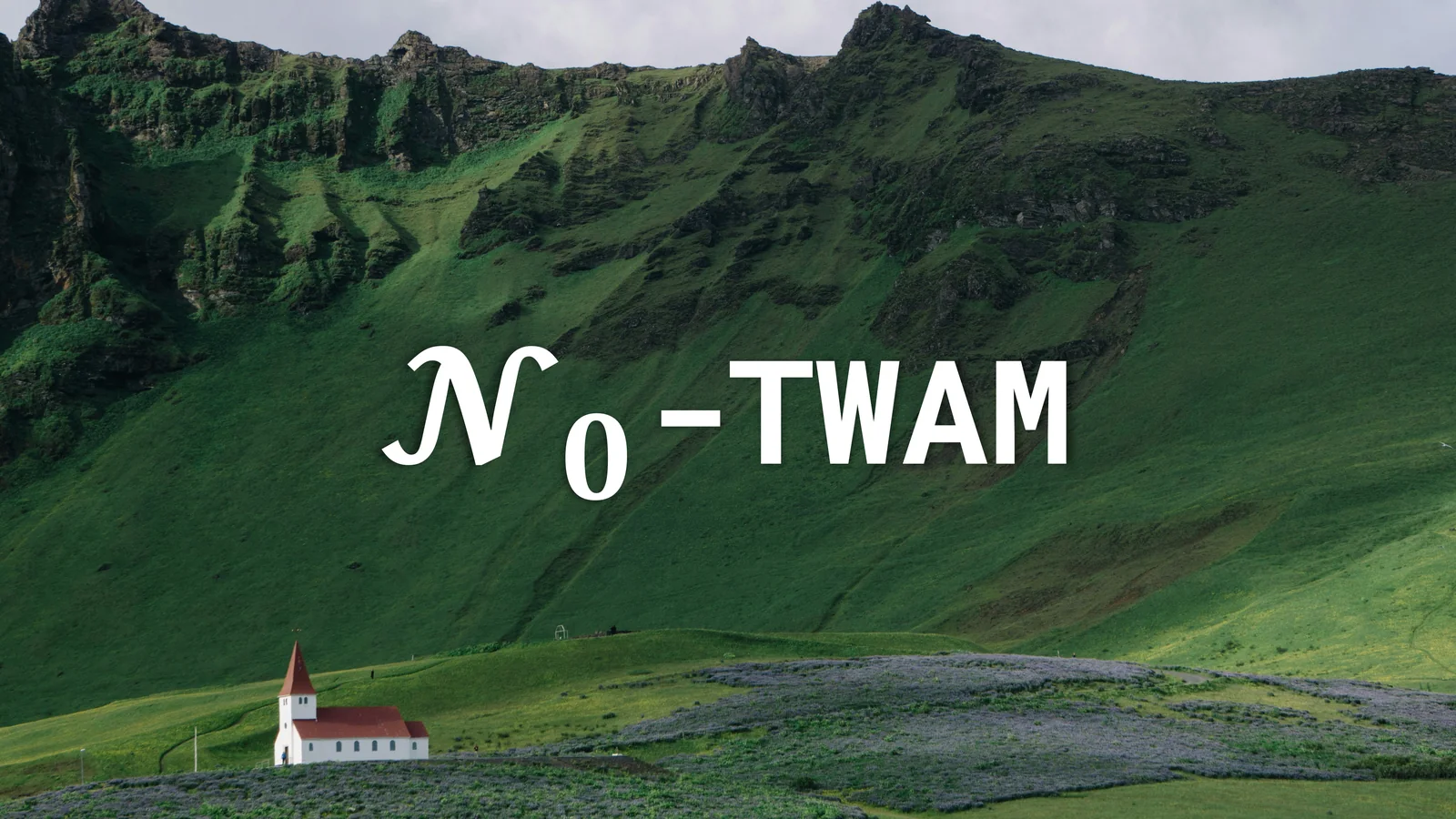 \\( \\mathcal{N}_{0} \\)-TWAM overview