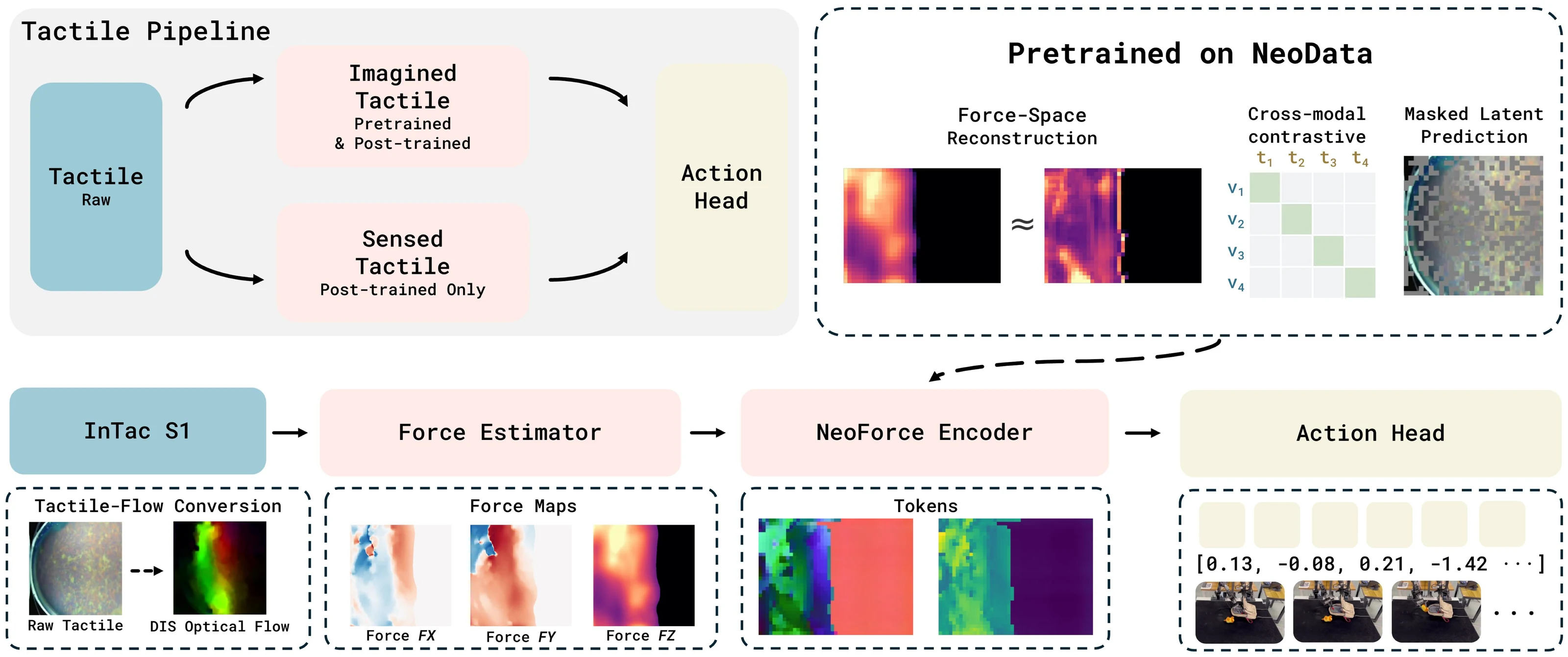 Predicted and observed tactile pathways in \\( \\mathcal{N}_{0} \\)-TWAM